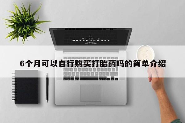 私人诊所有卖打胎药么6个月可以自行购买打胎药吗的简单介绍